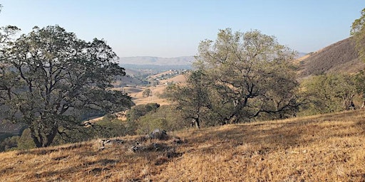 Beat the Heat and Hike the Suburban Interface in Walnut Creek Open Space
