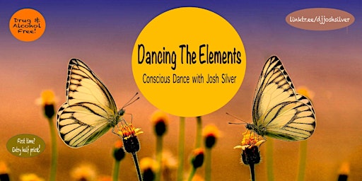 Dancing the Elements (Conscious Dance with Josh Silver)