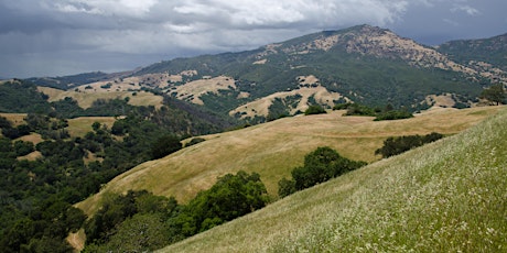 Trail Stomp - Run with Save Mount Diablo