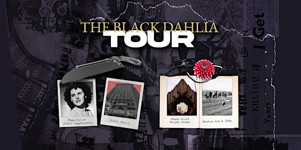Hollywood Horror Story:  The Black Dahlia