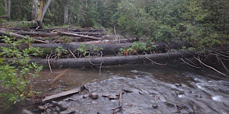 Stage 0 Lessons Learned on 3 Projects in the McKenzie River Watershed