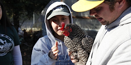 Raising Backyard Chickens Workshop