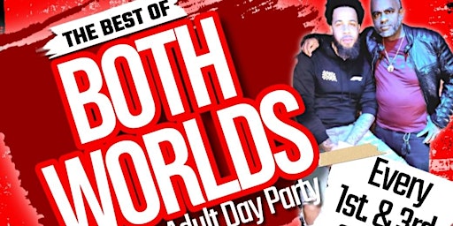 The Best of Both Worlds..... The Ultimate Adult Day Party