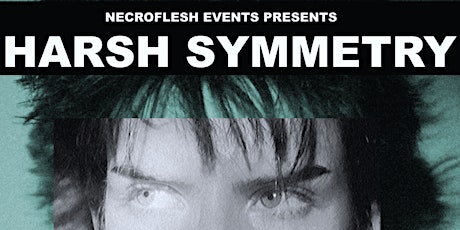 Harsh Symmetry- In a Darkened Room -DJ's Christina Zombi & Immortal Mel