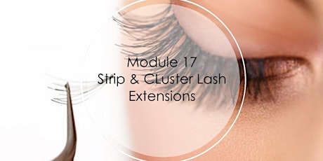 ARDELL STRIP AND CLUSTER EYELASH COURSE primary image