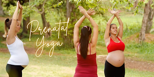 Prenatal Yoga 85HR Prenatal Certification