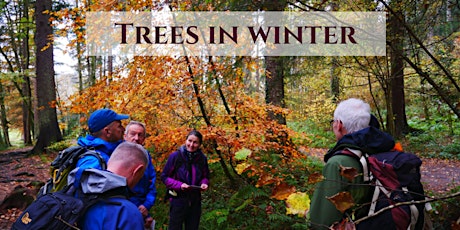 Imagem principal do evento Trees in Winter