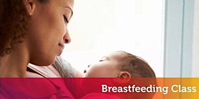 Primaire afbeelding van Breastfeeding Class (Patewood)