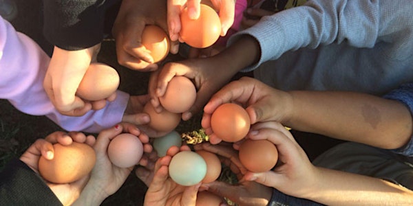 "Egg"-citement!