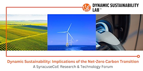 Image principale de Dynamic Sustainability: Implications of the Net-Zero Carbon Transition