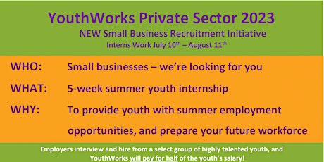 Youth Works Private Sector Small Business Recruitment Initiative