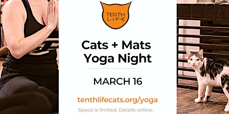 Cats N' Mats Yoga Night - March 2023