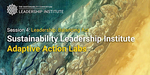 Session 4: Leadership:  Balancing Act