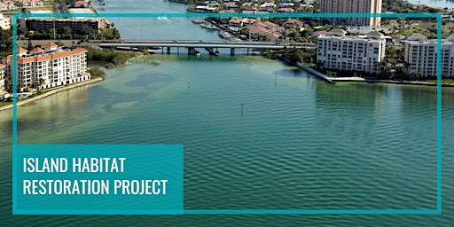 Tampa Bay Aquatic Preserves Island Restoration Project
