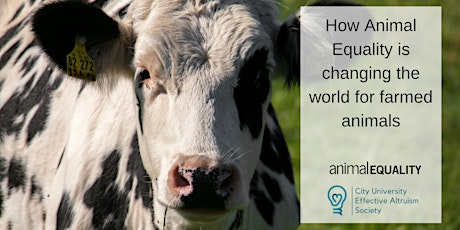 Changing the World for Farmed Animals - Animal Equality UK primary image