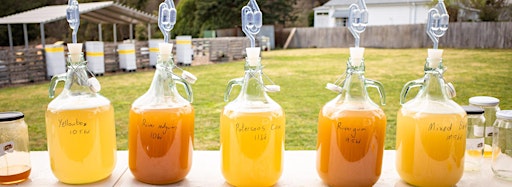 Collection image for Mead Making