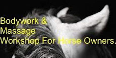 Bodywork & Massage Worksops for Horse owners.  primary image