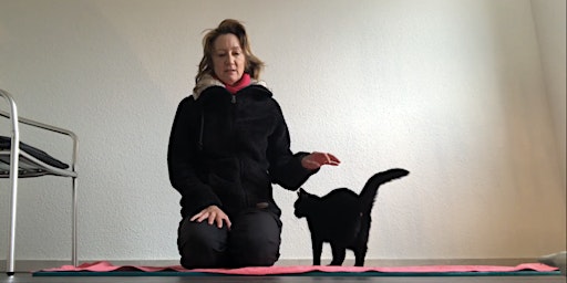 Pet Yoga