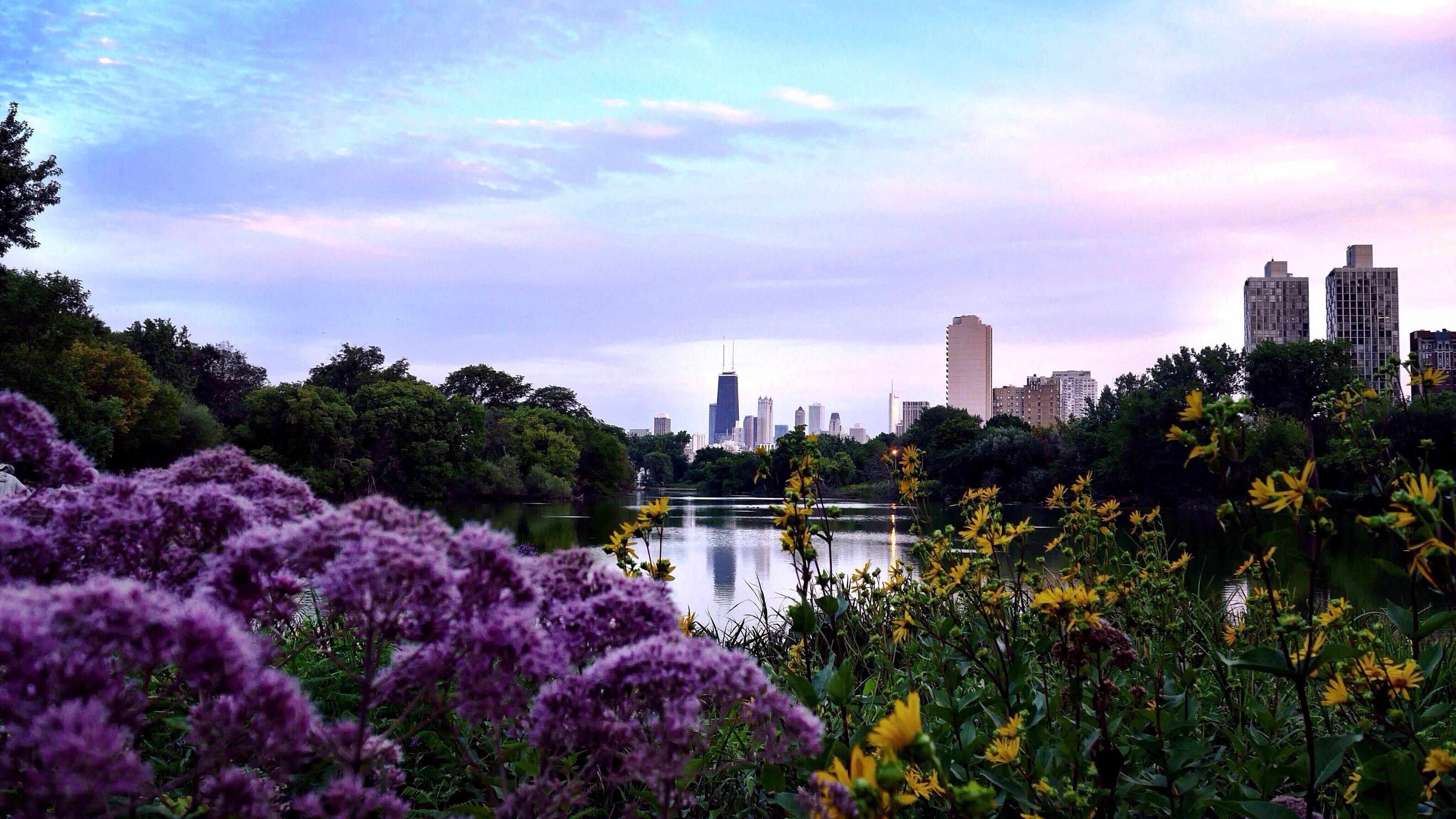 Earth Day at North Pond