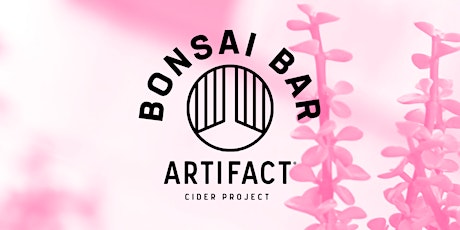 Bonsai Bar @ The Station by Artifact Cider Project