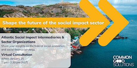 Supporting the Atlantic Canadian Ecosystem: Social Finance Consultation primary image