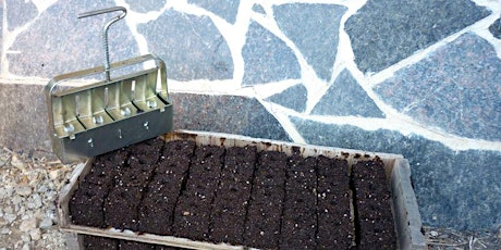 Seed Starting 101 featuring soil blocks