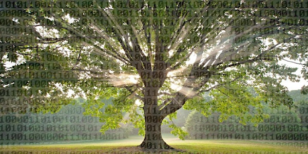 Collaboration Tree Hackathon - Los Angeles