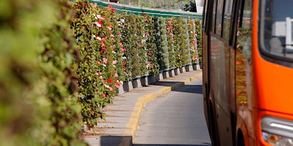 Les Jardins de Gally & Green Sentinel