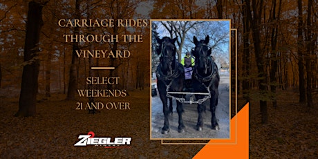 Valentine Carriage Rides at Ziegler Winery