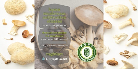 Mushroom Home Cultivation Classes (4)