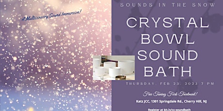 Sounds In The Snow Crystal Bowl Sound Bath - A Multisensory Immersion
