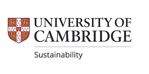 Sustainability Strategy Online Consultations