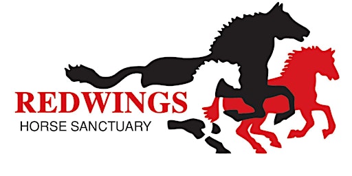 Redwings Mountains Entrance Tickets 2023 primary image