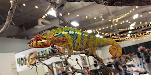 Tampa Bay Reptile Expo Show Me Reptile Show primary image