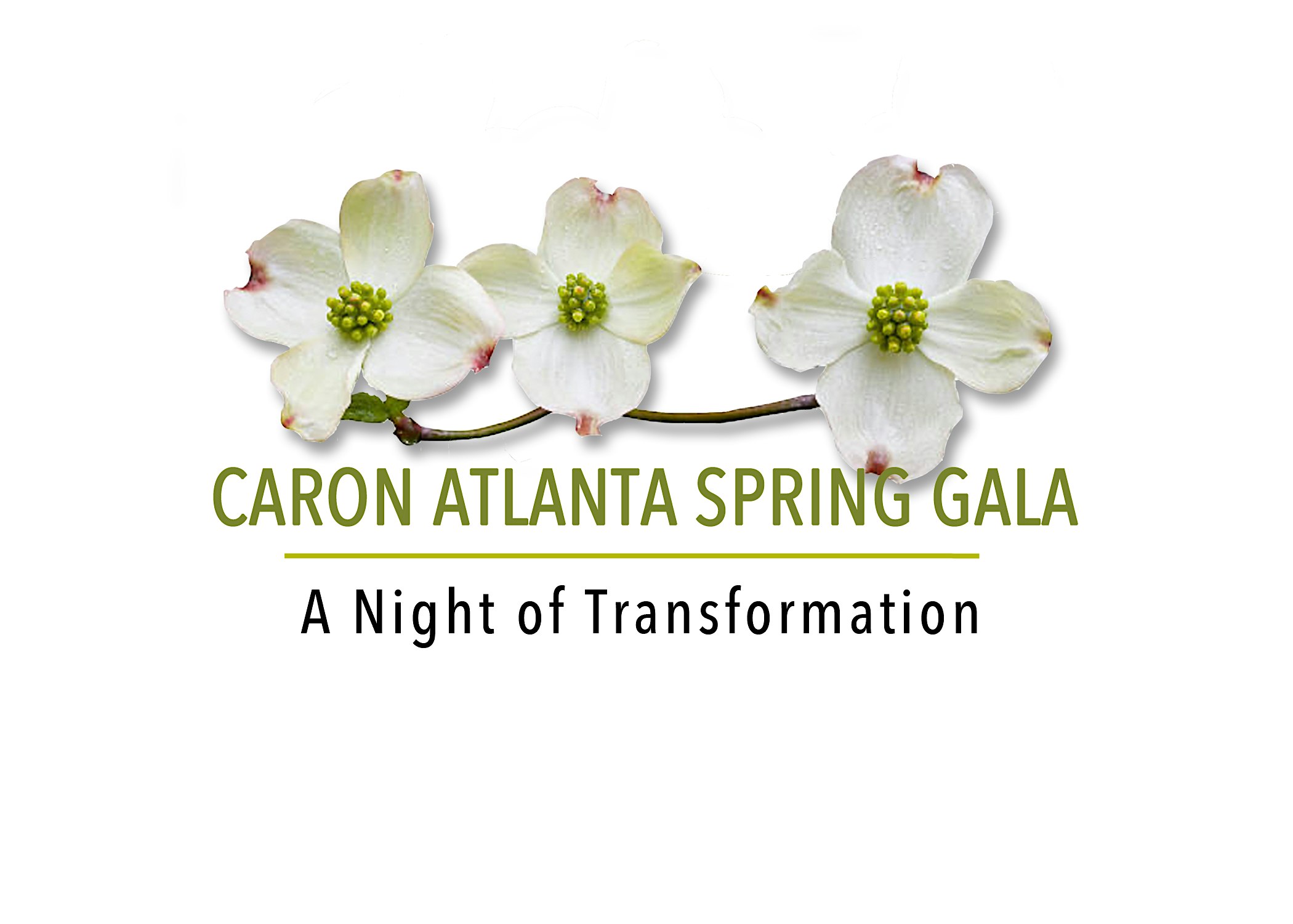 Caron Atlanta Annual Gala - A Night of Transformation