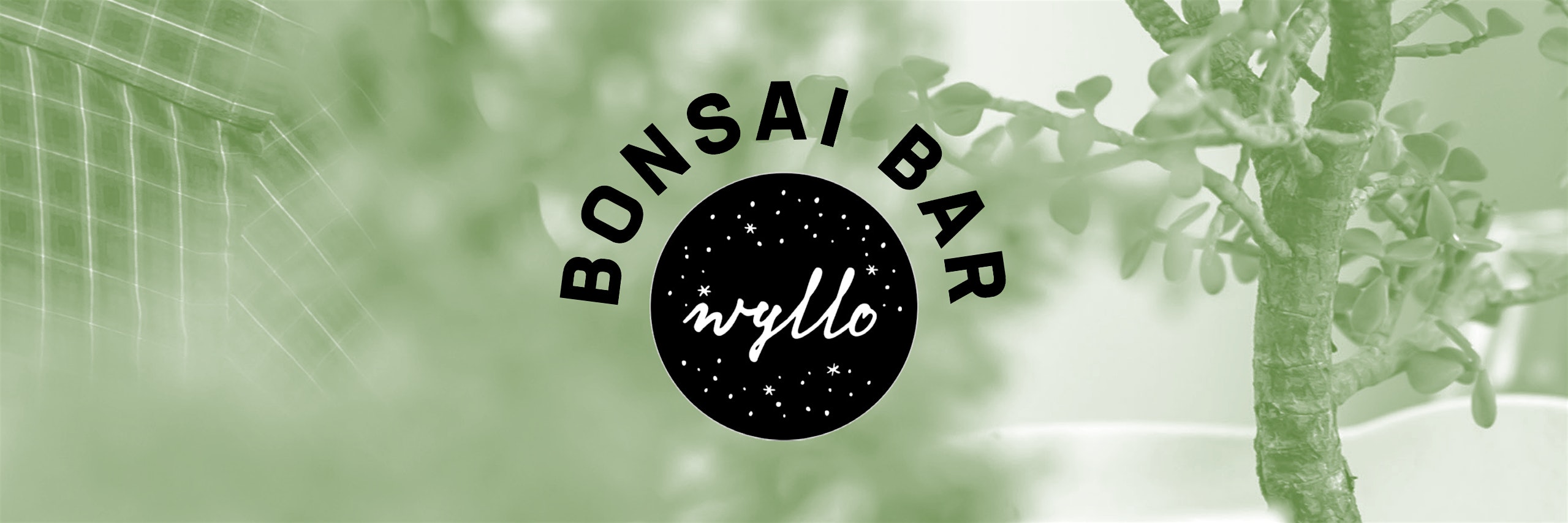 Bonsai Bar @ Wyllo