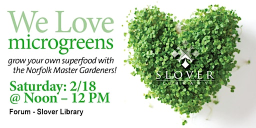 We Love Microgreens! Grow Your Own Superfood