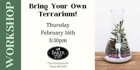 Bring Your Own Terrarium