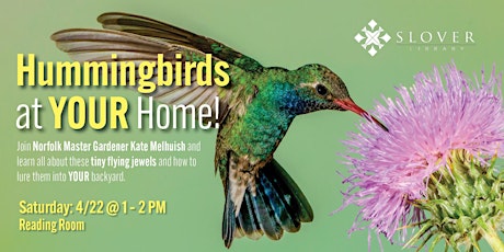 Hummingbirds at Home--YOUR Home!