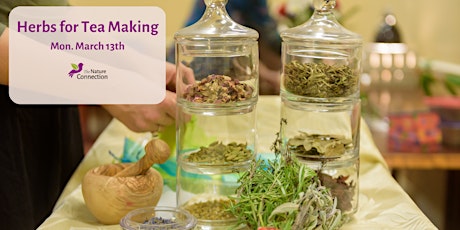 Herbs for Tea Making - Nature Exploration