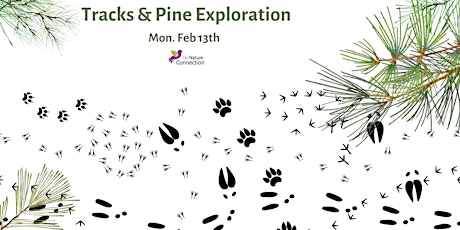 Tracks & Pine Exploration