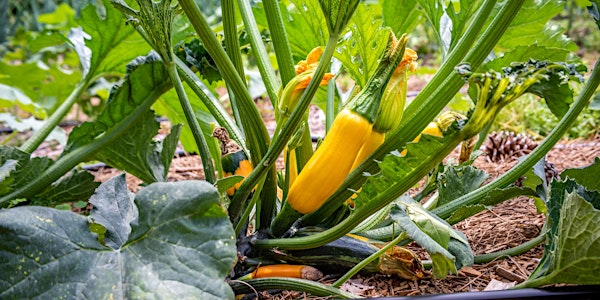 Eastern Shore Vegetable Growers Meeting