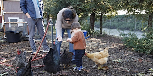 ABCs of Farming: Our Neighborhood Farm (Fall Session) primary image