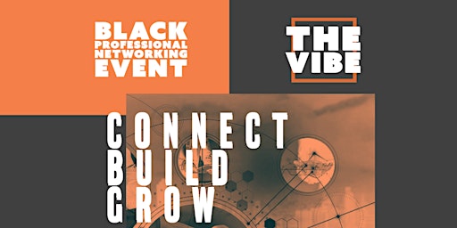 The Vibe- Black Professional Networking  Activation