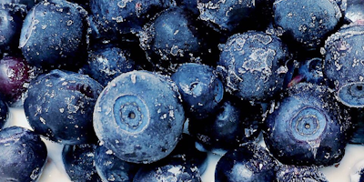 Be Nordic Super colazione
