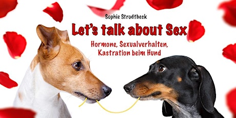 ONLINE-Vortrag "Let's talk about Sex" (Sophie Strodtbeck)