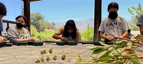 FREE SEED FRIDAYS! - California Native Seed Cleaning Volunteering