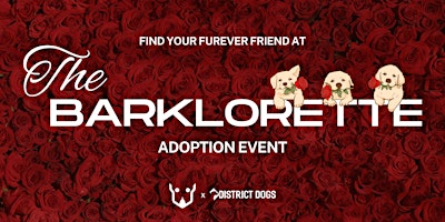 "The Barklorette" Dog Adoption Event