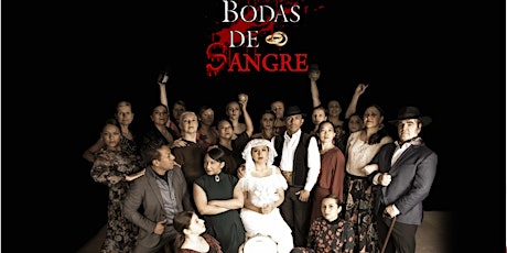 Bodas De Sangre  primary image