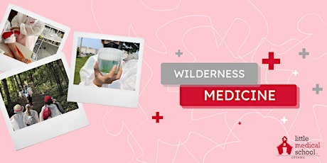Wilderness Medicine Summer Camp (First Aid Focus)